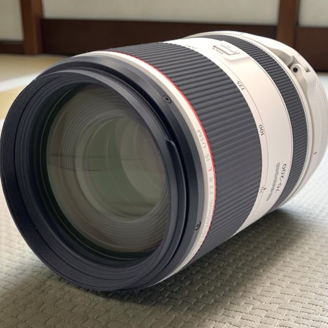 RF 70-200mm F2.8 L IS USM