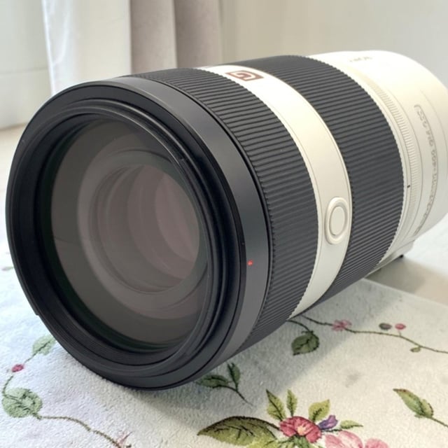 FE 100-400mm F4.5-5.6 GM OSS SEL100400GM