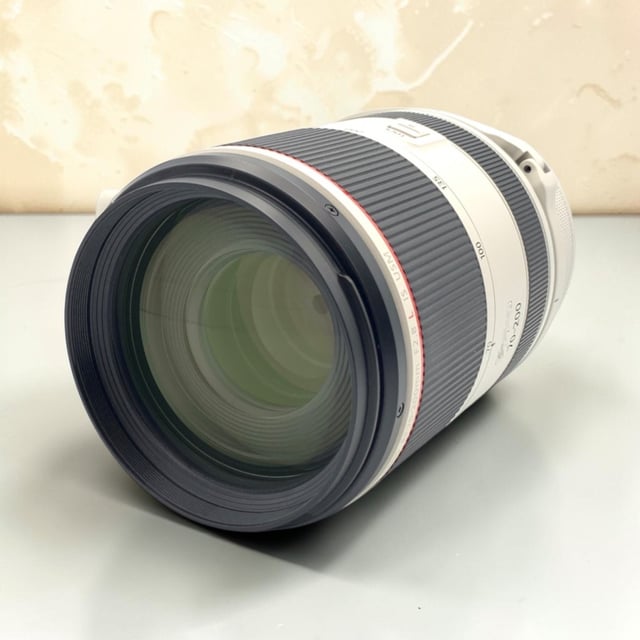 RF 70-200mm F2.8 L IS USM