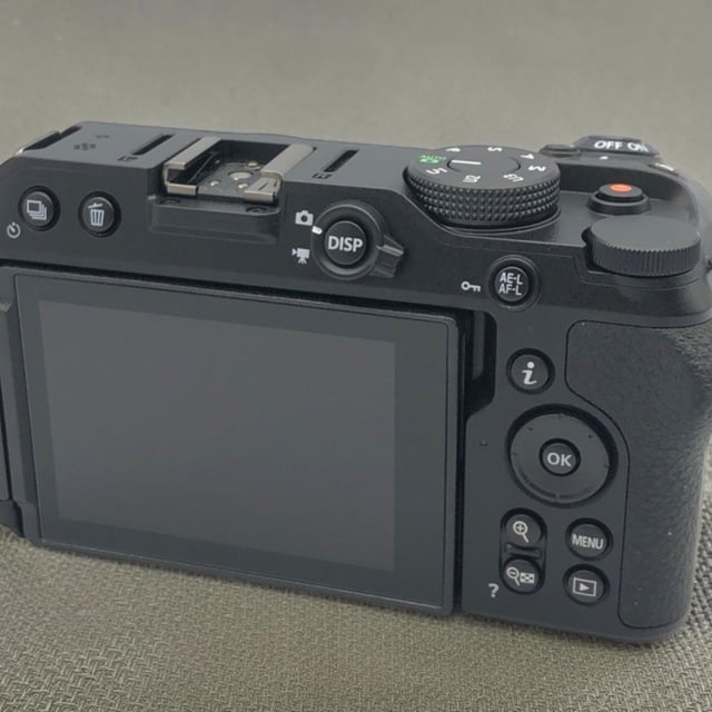 Z30 ボディ