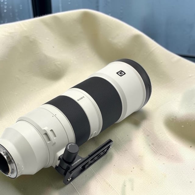FE 200-600mm F5.6-6.3 G OSS SEL200600G