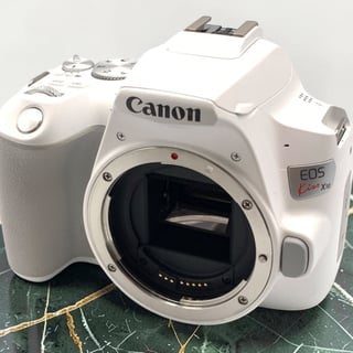 中古商品画像