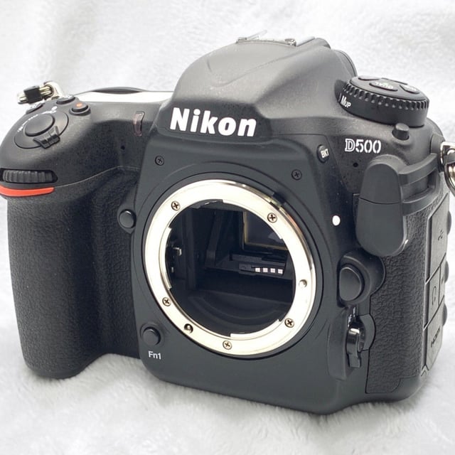 D500 ボディ