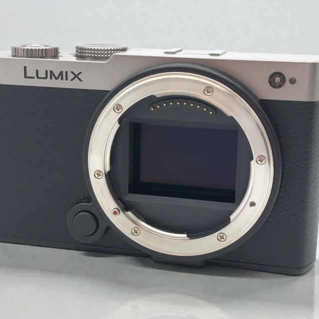 LUMIX S9(DC-S9) ボディ