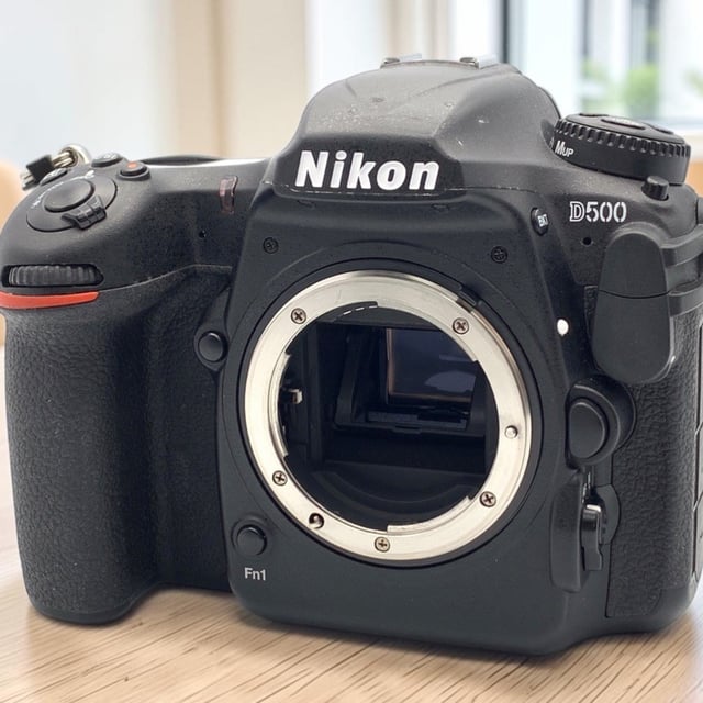 D500 ボディ