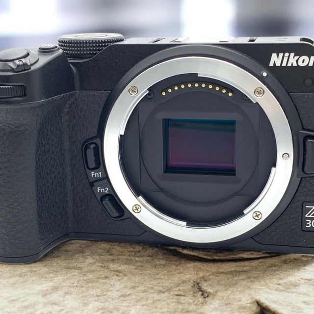 Z30 ボディ
