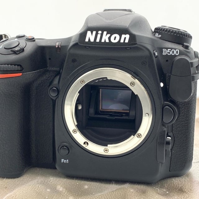 D500 ボディ