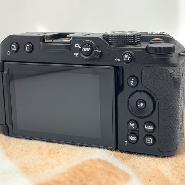 Z30 ボディ