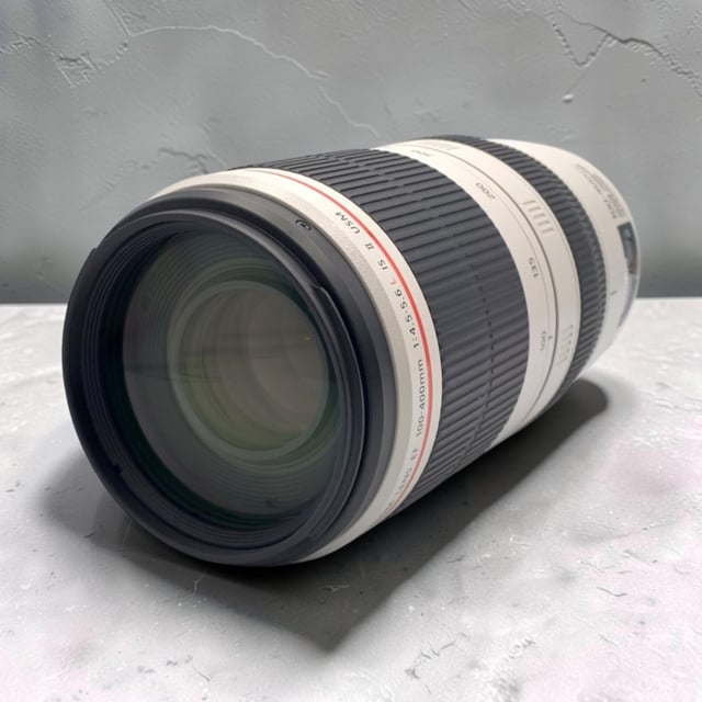 EF 100-400mm F4.5-5.6L IS II USM