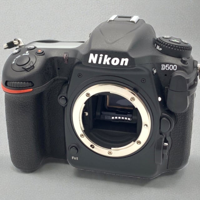 D500 ボディ