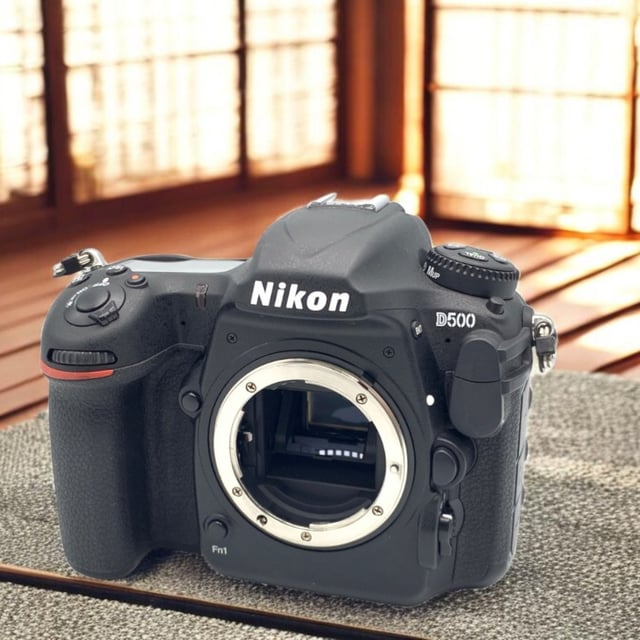 D500 ボディ