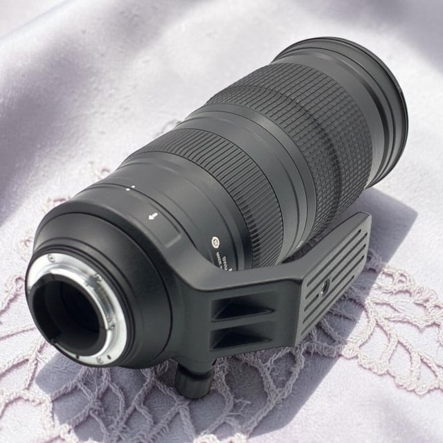 AF-S NIKKOR 200-500mm f/5.6E ED VR