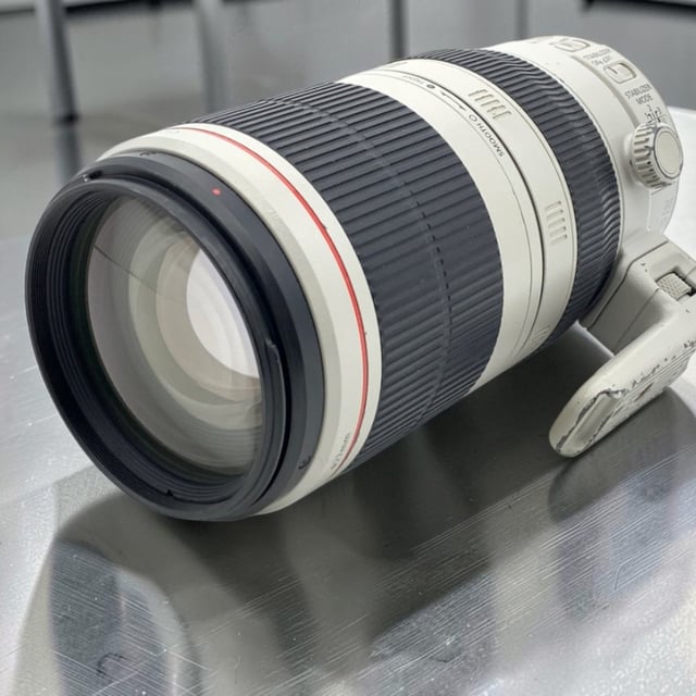 EF 100-400mm F4.5-5.6L IS II USM