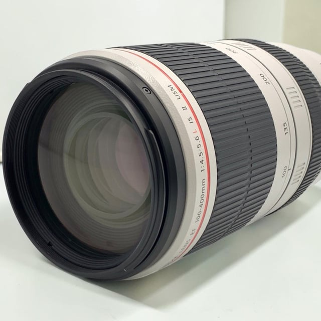 EF 100-400mm F4.5-5.6L IS II USM