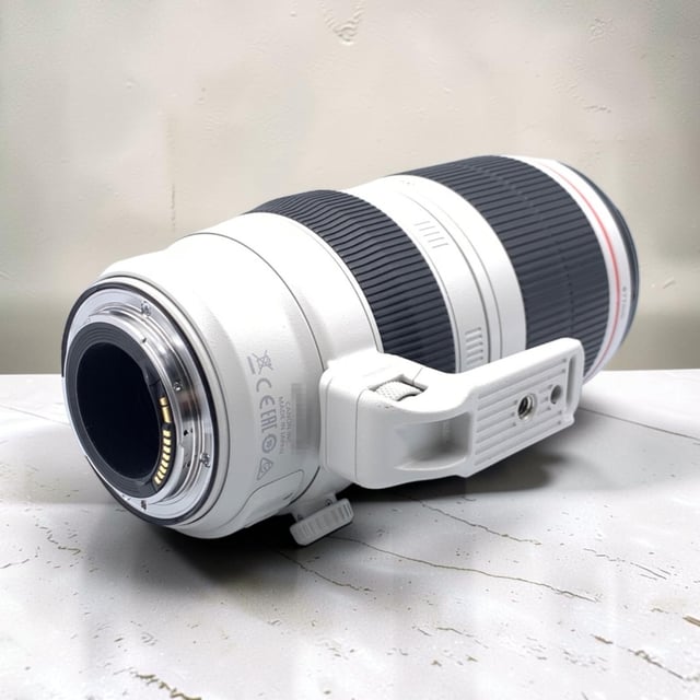 EF 100-400mm F4.5-5.6L IS II USM