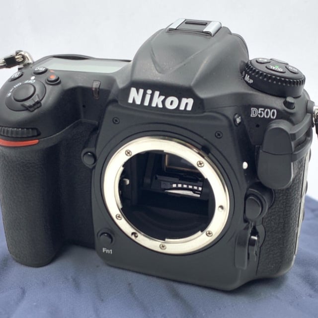 D500 ボディ