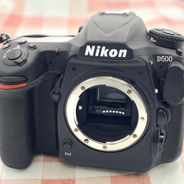 D500 ボディ