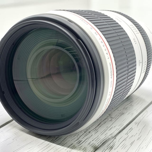 EF 100-400mm F4.5-5.6L IS II USM