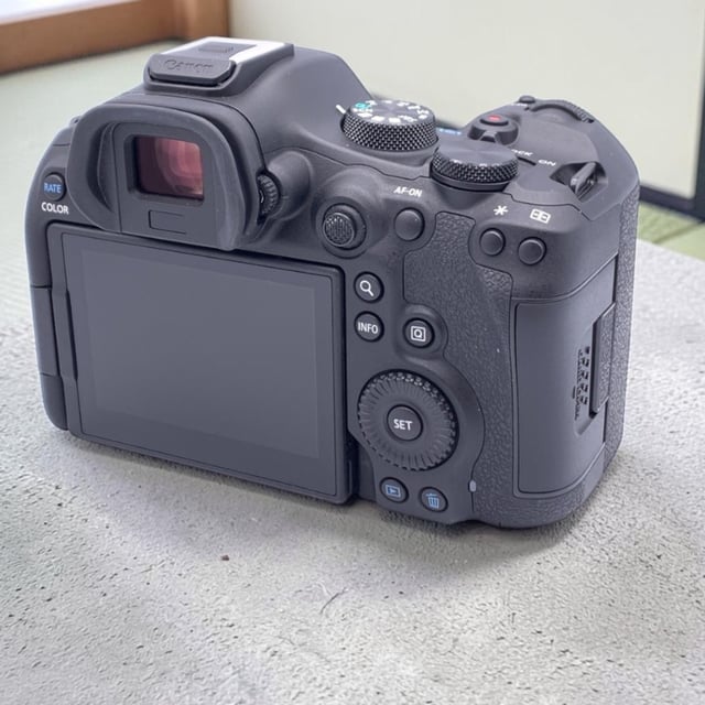 EOS R6 Mark III ボディ