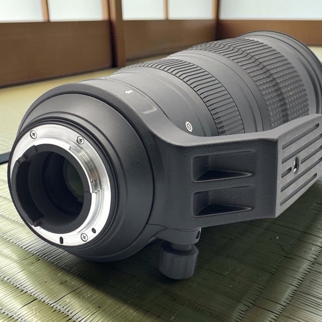 AF-S NIKKOR 200-500mm f/5.6E ED VR