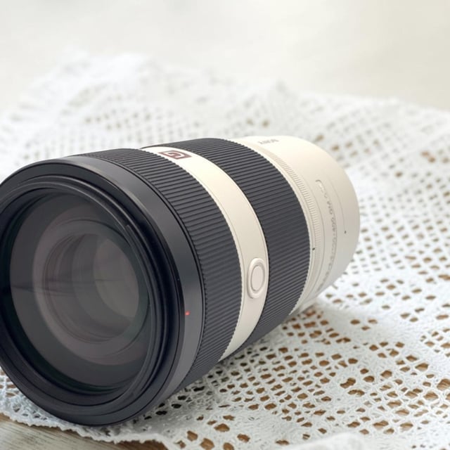FE 100-400mm F4.5-5.6 GM OSS SEL100400GM