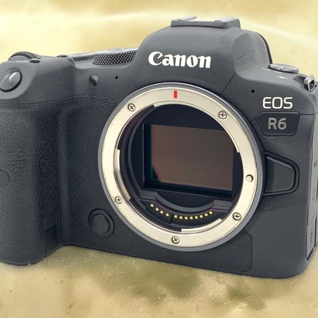 EOS R6 ボディ