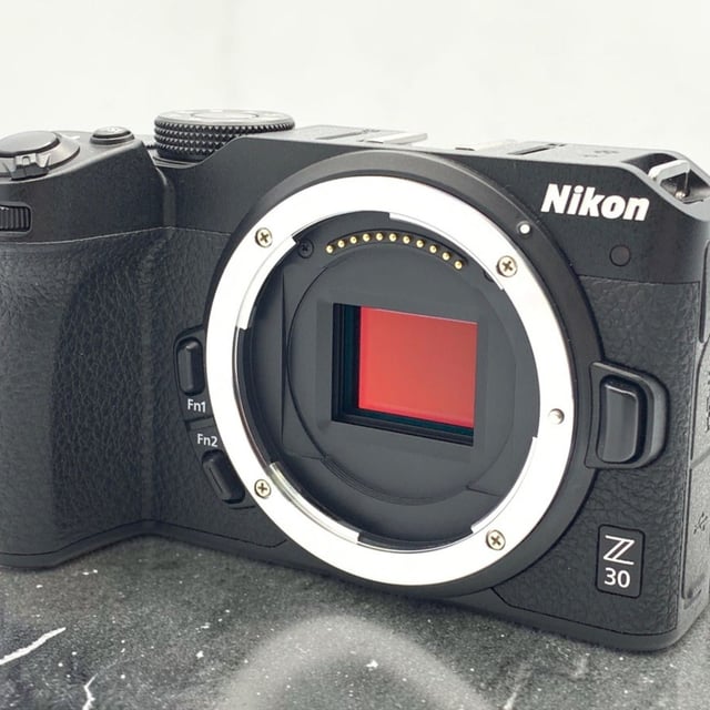 Z30 ボディ
