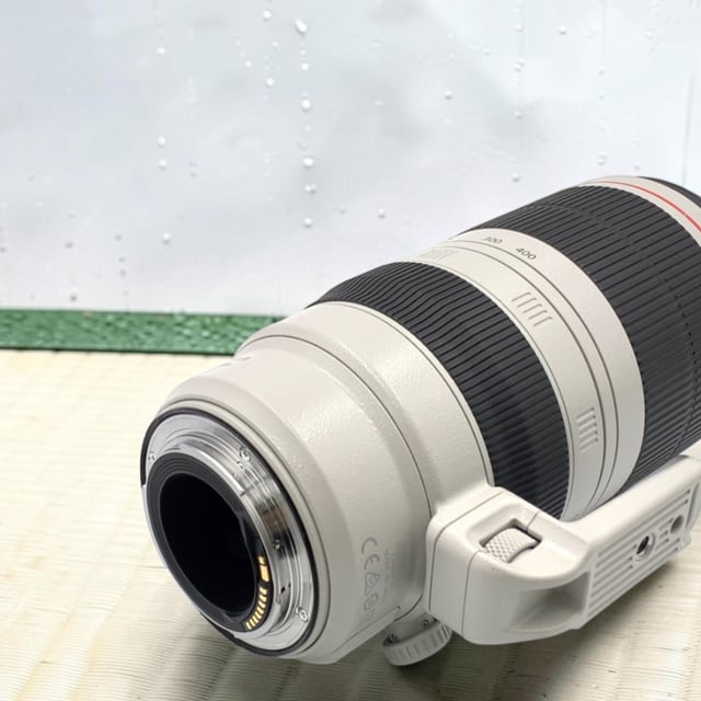 EF 100-400mm F4.5-5.6L IS II USM