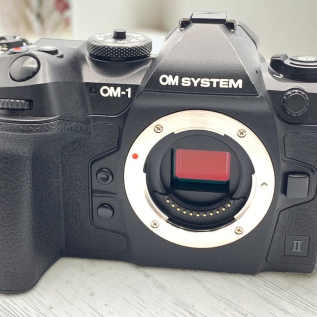 OM-1 Mark II ボディ