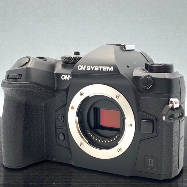 OM-1 Mark II ボディ