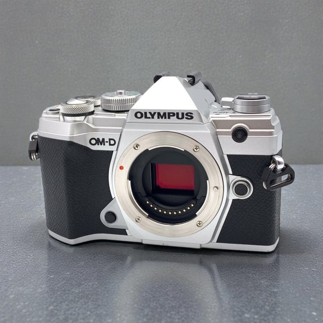 OM-D E-M5 Mark III ボディ