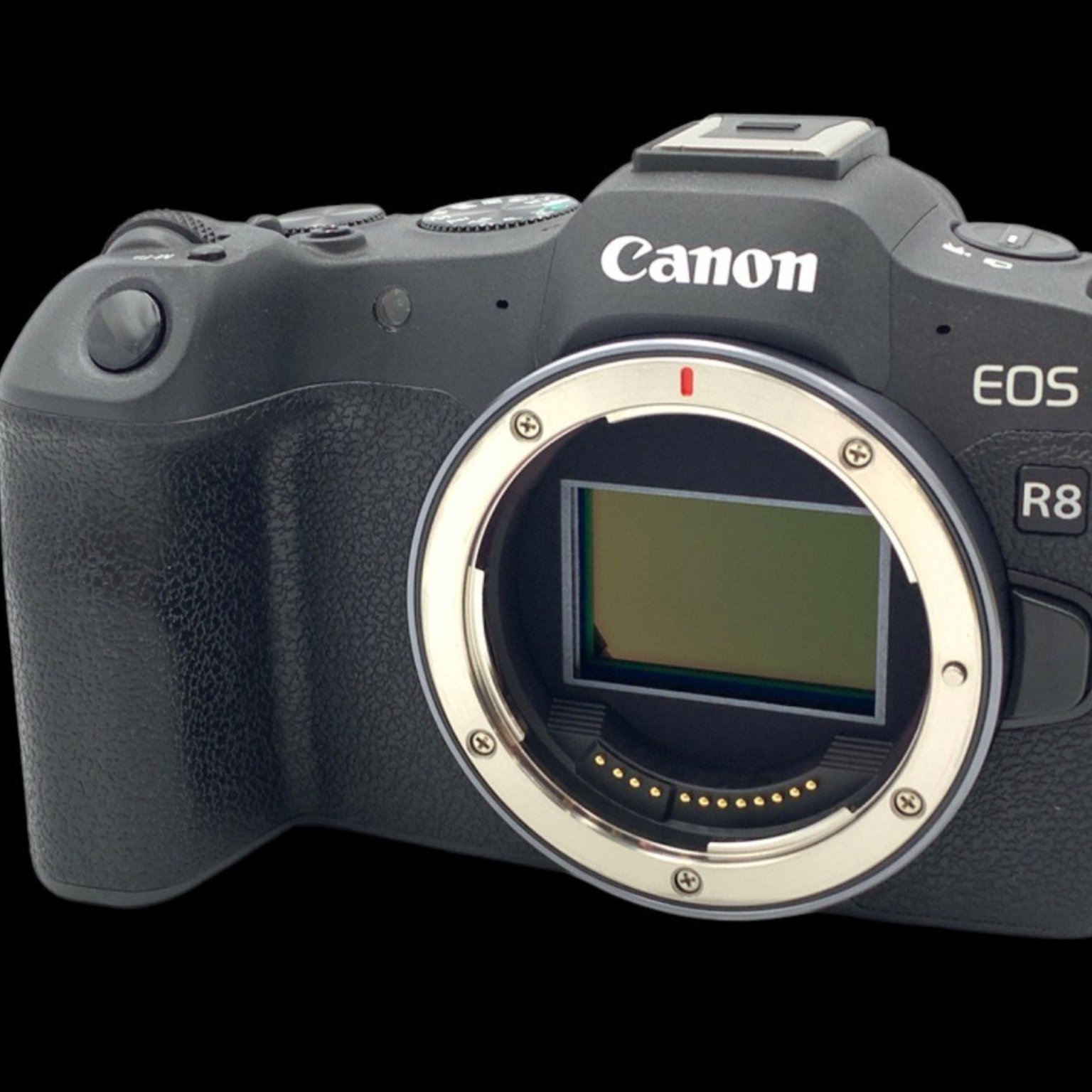 EOS R8 ボディの中古カメラを買うならみんなのカメラ qvvteD8fNB32