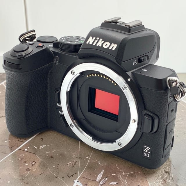 Z50 ボディ