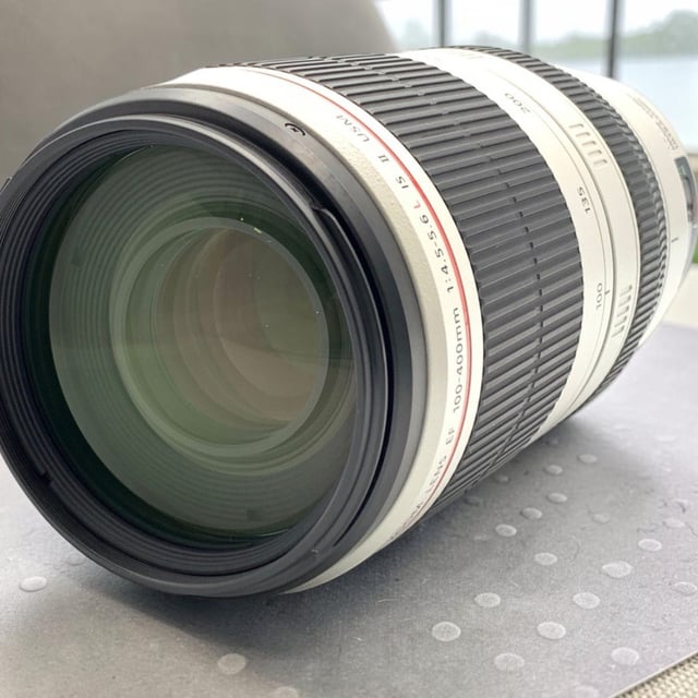 EF 100-400mm F4.5-5.6L IS II USM