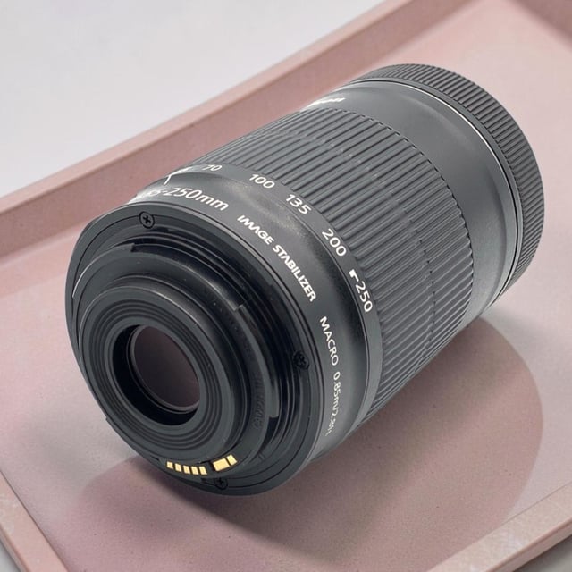 EF-S55-250mm F4-5.6 IS STM