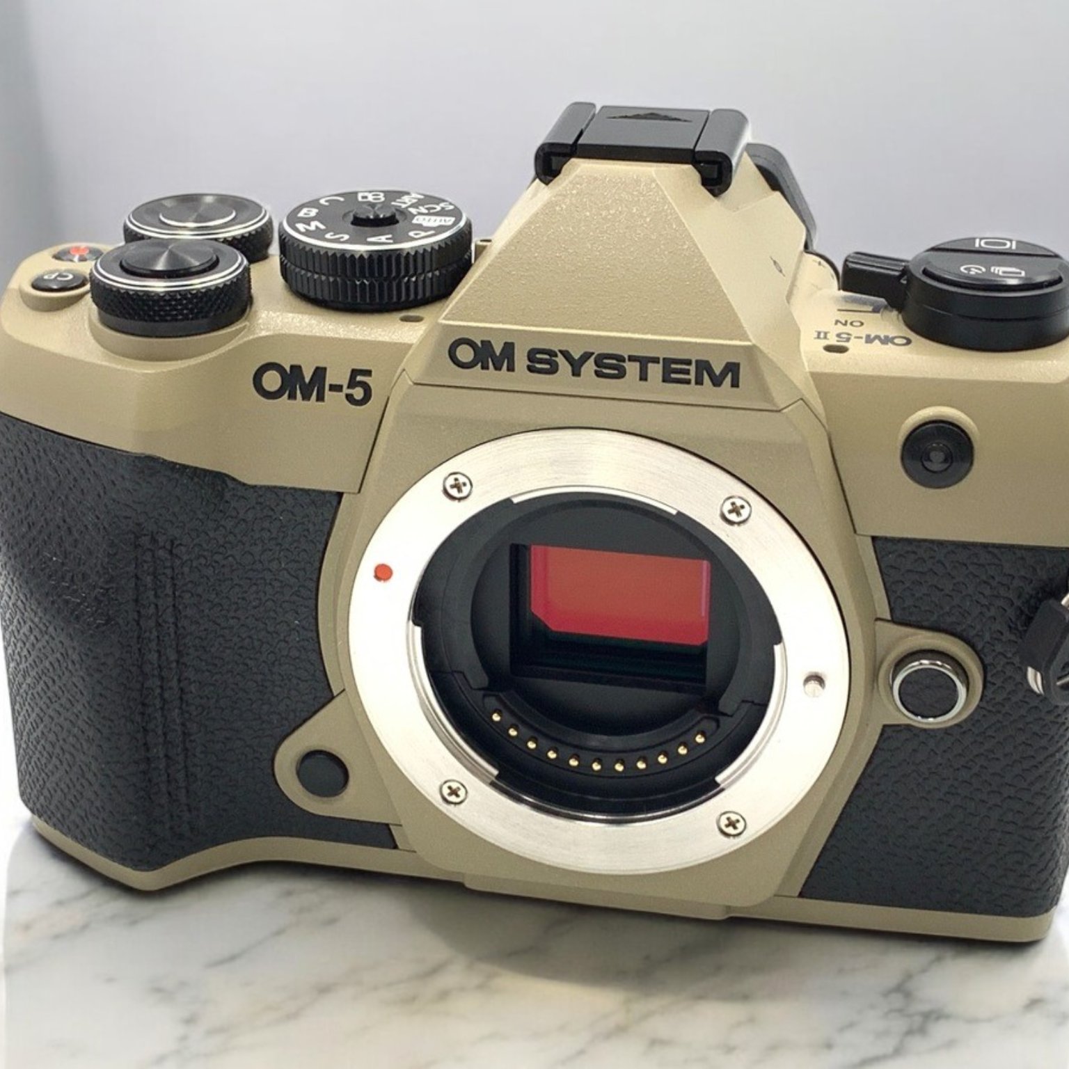 OM-5 Mark II ボディ 