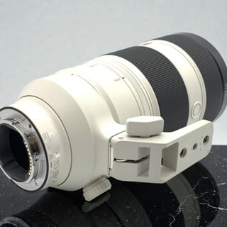 FE 100-400mm F4.5-5.6 GM OSS SEL100400GM