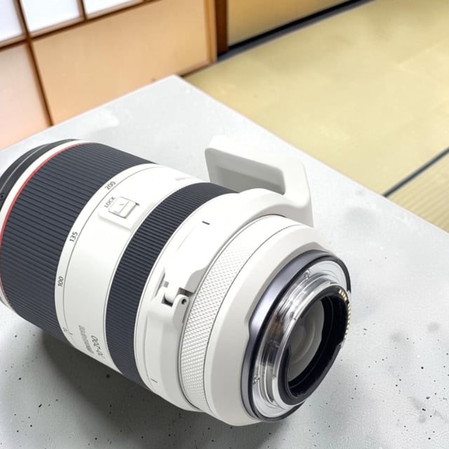 RF 70-200mm F2.8 L IS USM