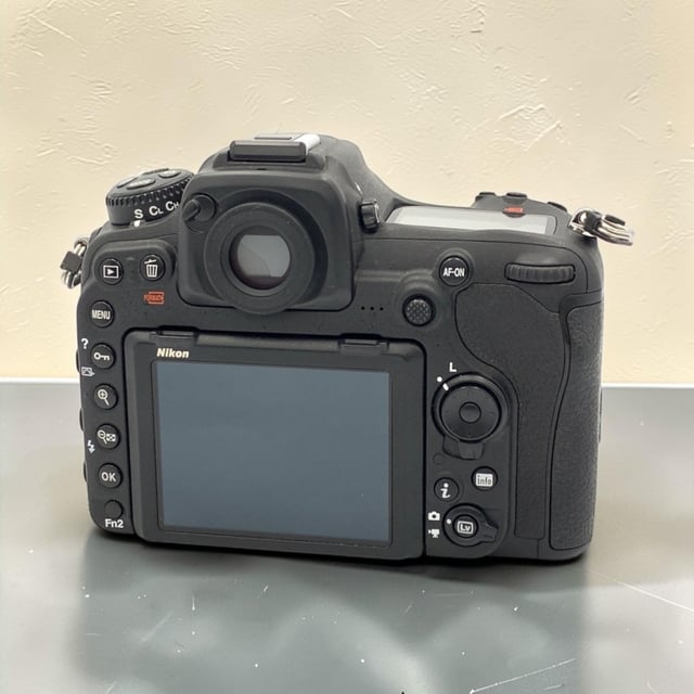 D500 ボディ