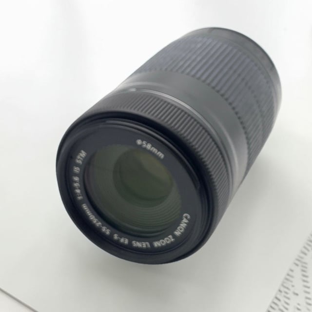 EF-S55-250mm F4-5.6 IS STM