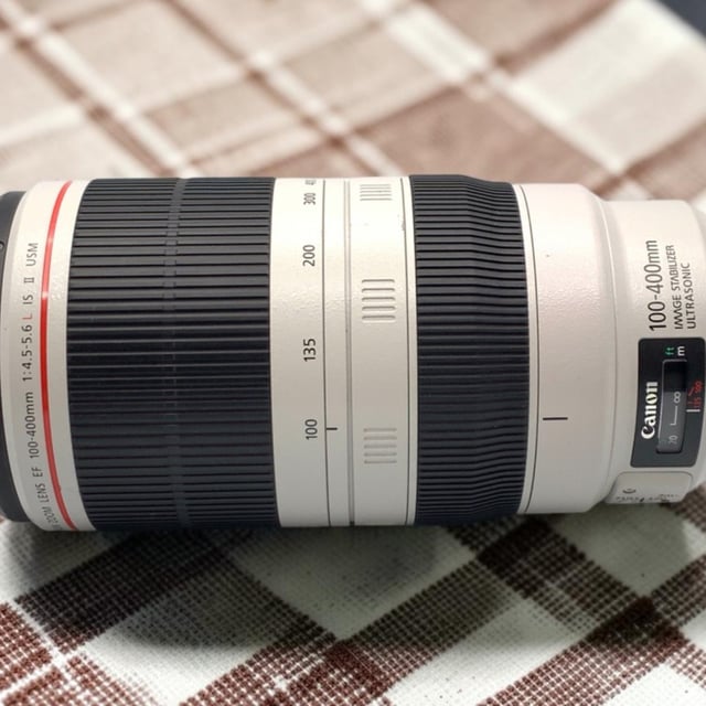 EF 100-400mm F4.5-5.6L IS II USM