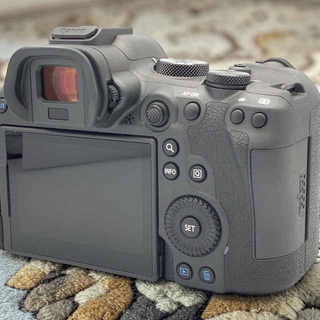 EOS R6 Mark II ボディ