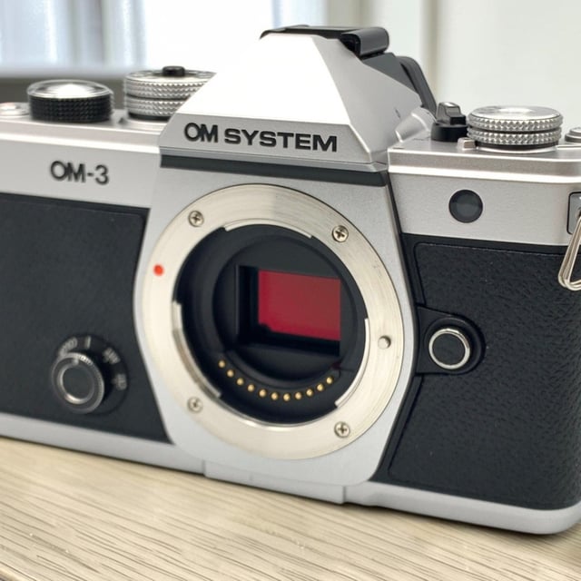 OM-3 ボディ