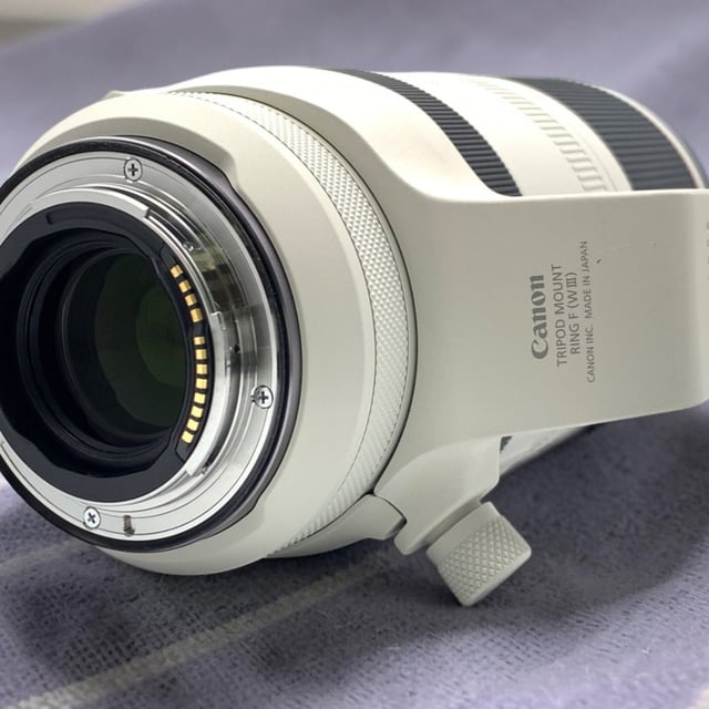 RF 100-500mm F4.5-7.1 L IS USM