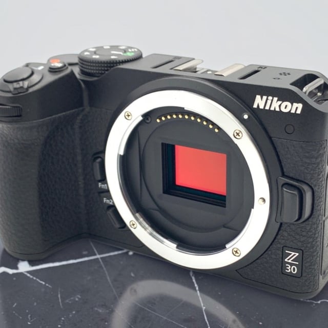 Z30 ボディ