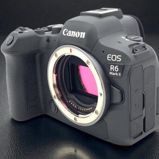 EOS R6 Mark II ボディ