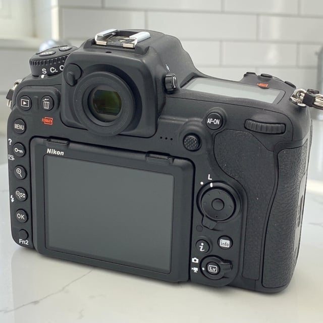 D500 ボディ