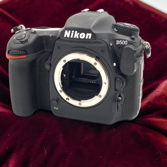 D500 ボディ
