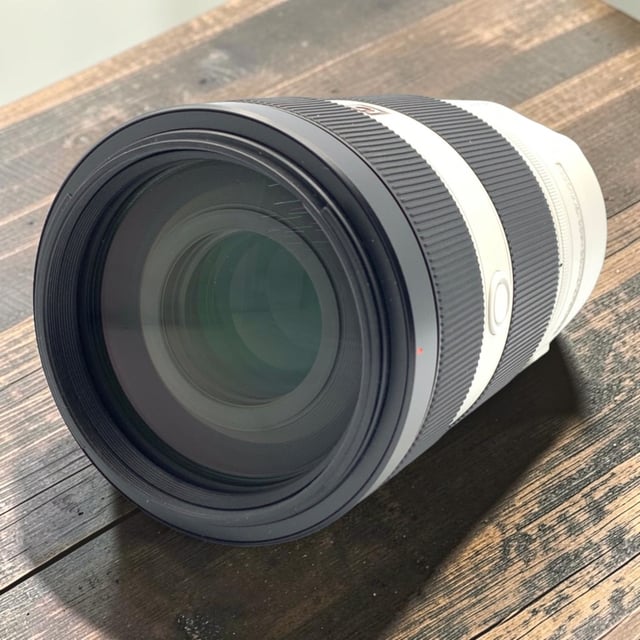 FE 100-400mm F4.5-5.6 GM OSS SEL100400GM