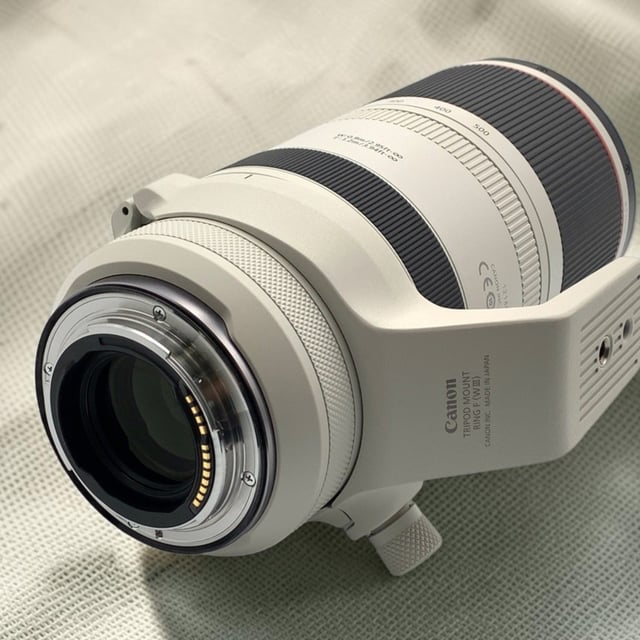 RF 100-500mm F4.5-7.1 L IS USM